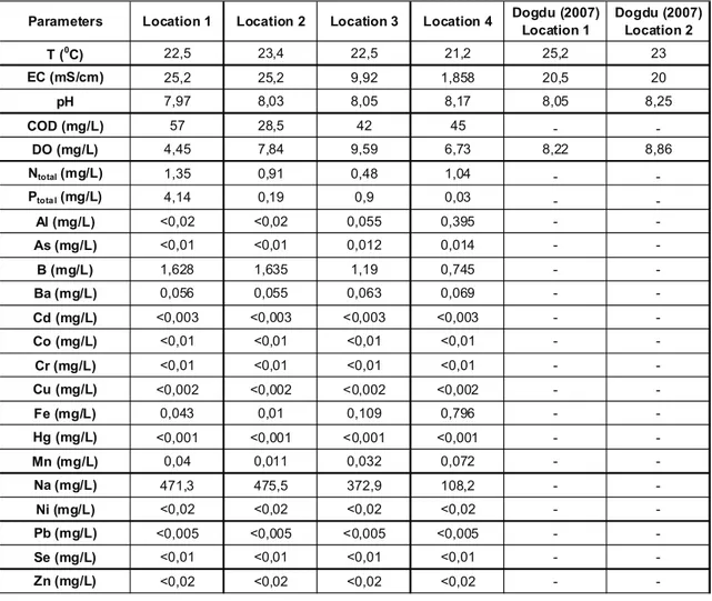 Table 1. Results of the analyses and measurements with comparison to Dogdu (1997) insitu tests