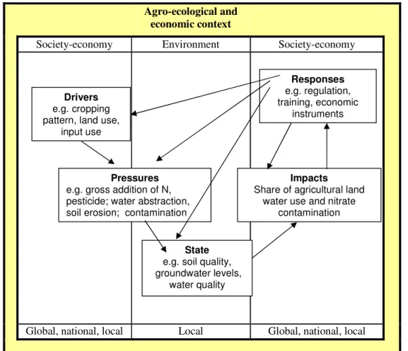 Figure 1. Schematic diagram of the DPSIR framework using the domains suggested by European Environment Agency