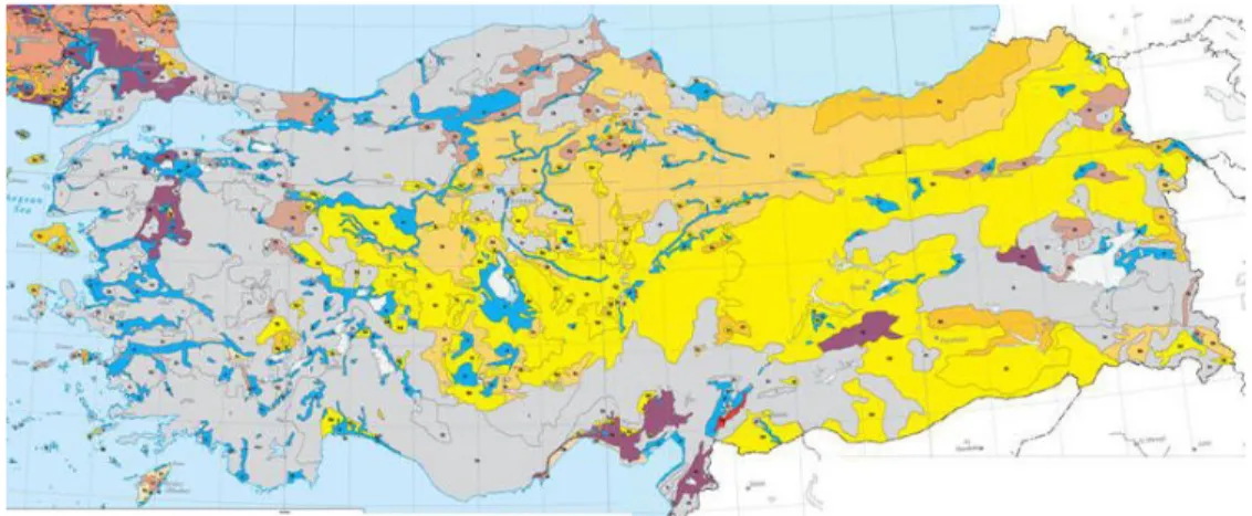 Figure 7. Map of the principal soil types in Turkey (European Commission and European Soil Bureau Network, 2006);  calisols (yellow), cambisols (orange) and leptosols (grey), and fluvisols (blue)