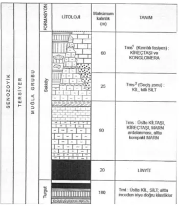 Şekil 1. Çalışma alanı stratigrafik kesiti (Ulusay,1990). 