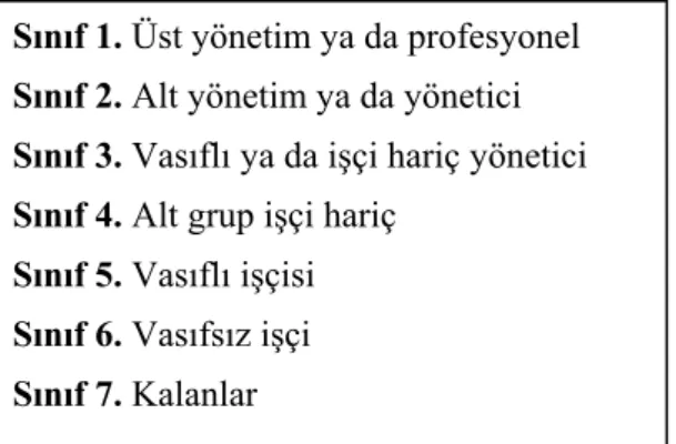 Tablo 1. Sınıf sistemi (Johns, 1965:105). 