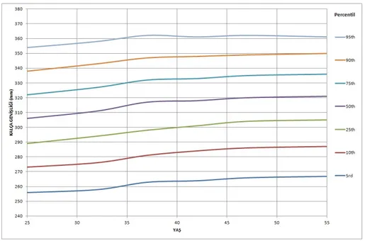 Şekil 13. Erkek Bireylerin Kalça Genişliği Yüzdelik Eğrileri 