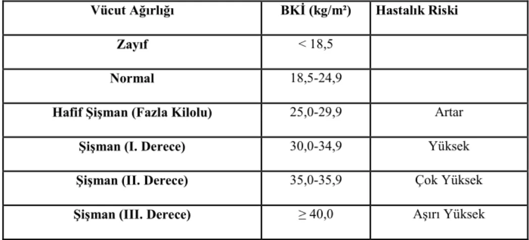 Tablo 1: Beden kitle indeksi sınıflaması (Rakıcıoğlu, 2008) 