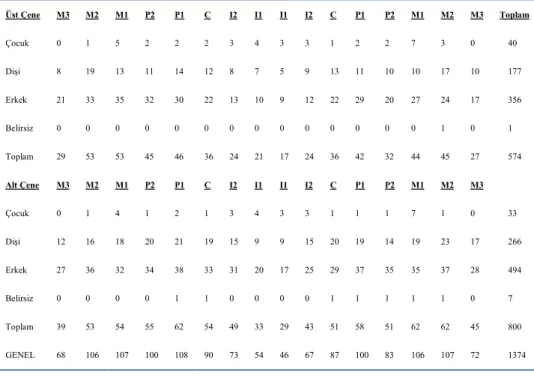 Tablo 3: Daimi dişlerin cinsiyete ve diş tiplerine göre dağılımı . 