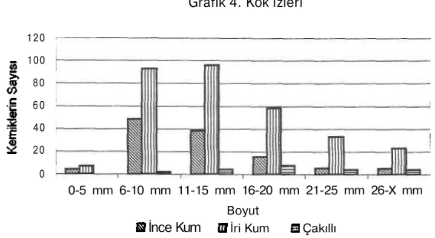 Grafik 4. Kök İzleri 