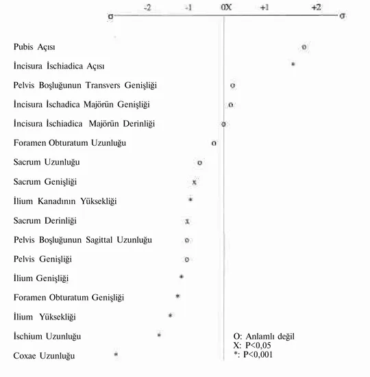 Grafik 1: Ölçülerin Profil Grafiği (Segebarth ve Orban 1980' göre) 