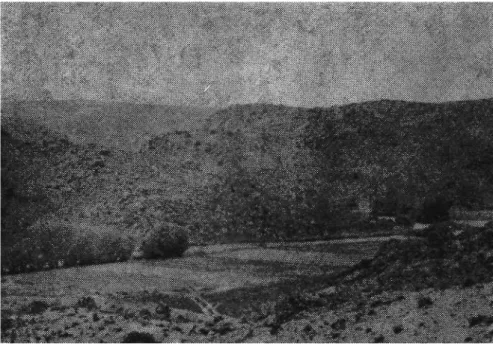 Foto 1: Kırbaşı Platosu güneyinde yeniden yüzeye çıkan granitler üzerinde gelişen yassı to­ pografya örneği ve şiddetli ayrışma ürünlerinin görüldüğü bir vadi
