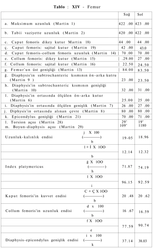 Tablo : XIV - Femur 