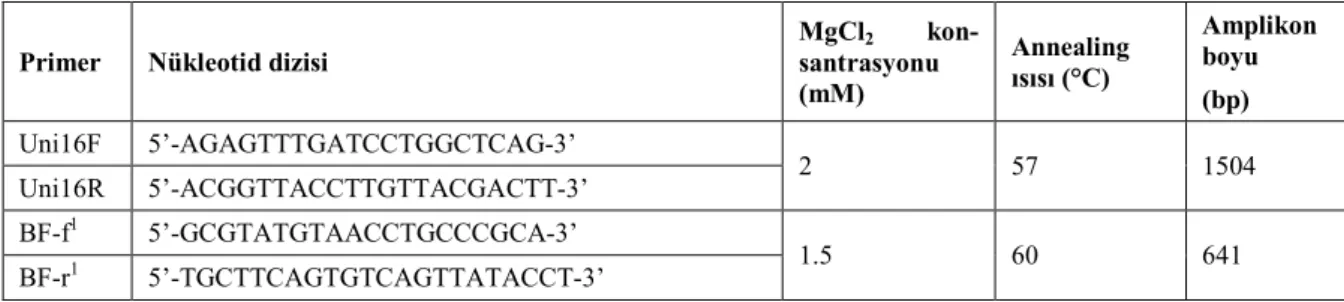 Tablo 1. Deneyde T.forsthia’ya özgül PCR için kullanılan oligonükleotid primerler ve nükleotid dizileri, MgCl 2  konsantras-