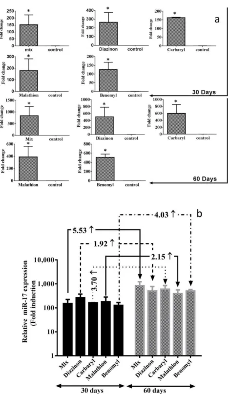 Figure 2. The expression level of mir-221 . 