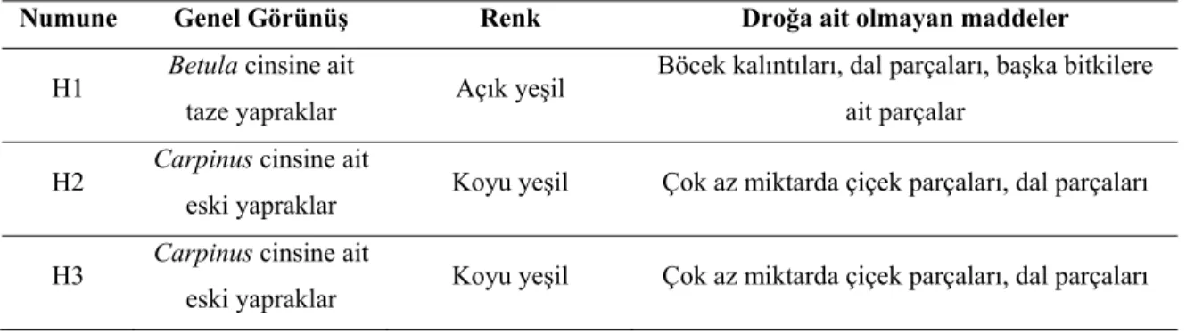 Tablo 2. Aktarlardan alınan &#34;huş  ağacı yaprağı&#34; droglarının morfolojik özelliklerinin  karşılaştırılması