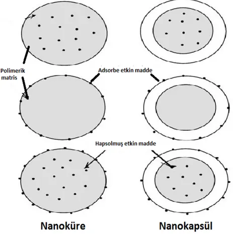 Şekil 1. Etkin madde yüklenmiş nanoküre ve nanokapsülün şematik gösterimi  (Nagarwal ve ark., 