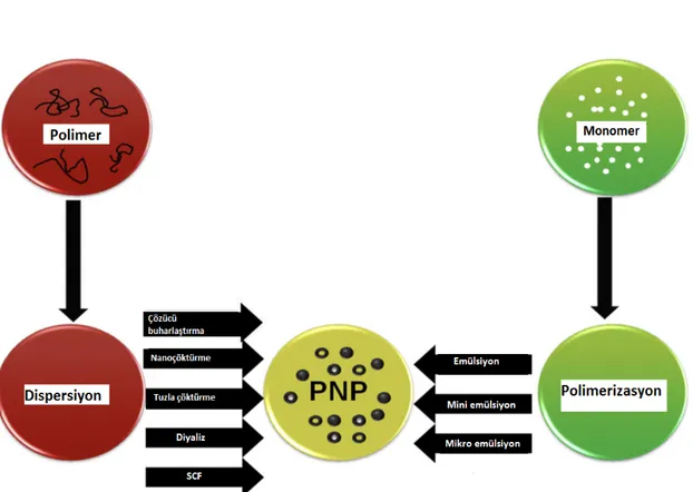 Şekil 3. Çeşitli nanopartikül hazırlama tekniklerinin şematik gösterimi. PNP: Polimerik 