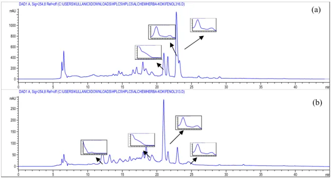 Figure 1. HPLC chromatogram of A. persica aerial part (a) and root (b) extract 