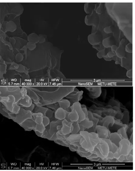 Figure 3. Micrographs of selected PLGA nanoparticle formulation (NP9). 