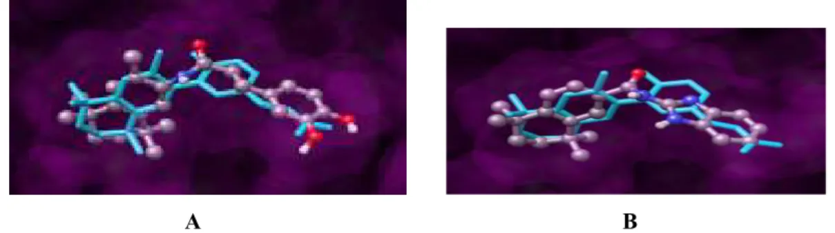 Şekil 4. RXRα proteininin ligand bağlanma yöresinde, bileşik 10 (A) ve bileşik 17’nin (B) RXRα agonist  ligand CD3254 (mavi) ile üstüste çakıştırıldığı protein - ligand kompleksi 
