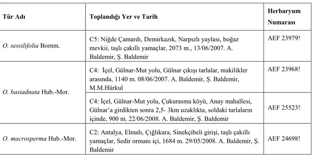 Tablo 1. Ononis türlerinin toplandığı lokaliteler ve bulunduğu herbaryum 