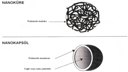 Şekil 1. Nanoküre ve nanokapsüllerin yapısı (6). 
