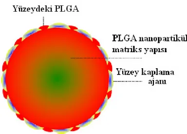 Şekil 4. Đnternal kaplama metodunun genel şematik gösterimi (38). 