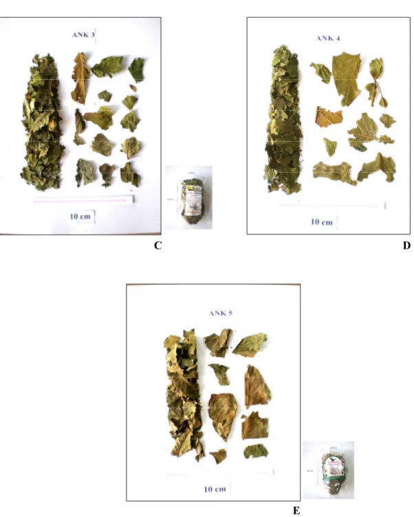 Şekil 2. Ankara aktarlarından satın alınan numuneler: A. numune 1, B. numune 2, C. numune 3,  D