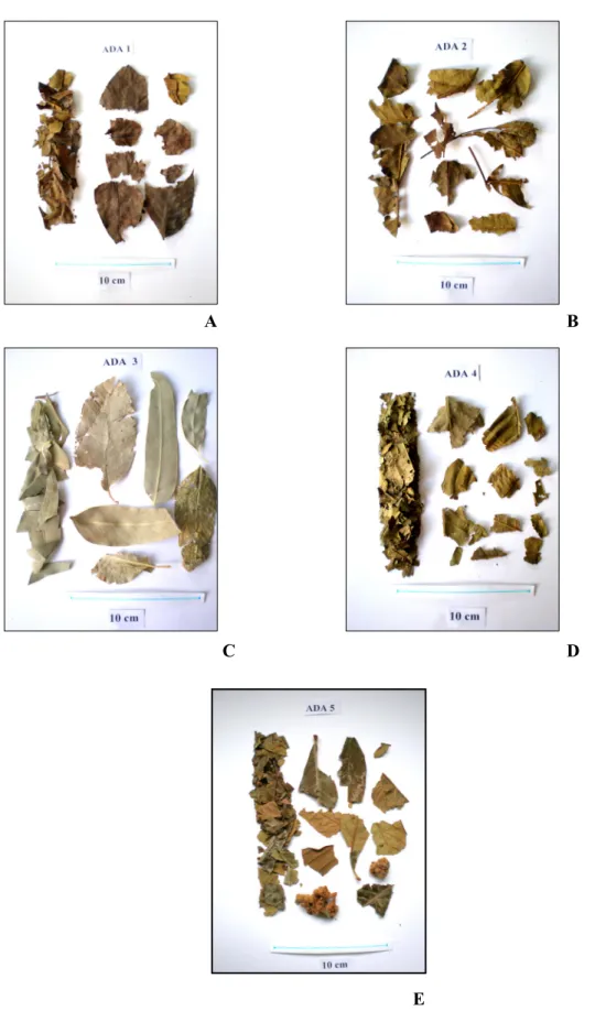 Şekil 3. Adana aktarlarından satın alınan numuneler: A. numune 1, B. numune 2, C. numune 3,  D