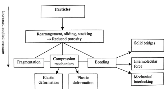 Figure 1. The deformation mechanisms of powder particles under compression (2,8). 