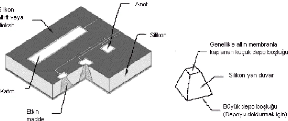 Şekil 6: Tek bir deponun şeklini de gösteren kontrollü salım için tasarlanan mikroçip örneği (18)