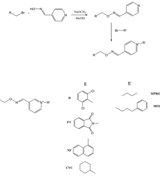 Figure 1. Synthesis pathway and structures of pyridinium-type compounds presented in this study 