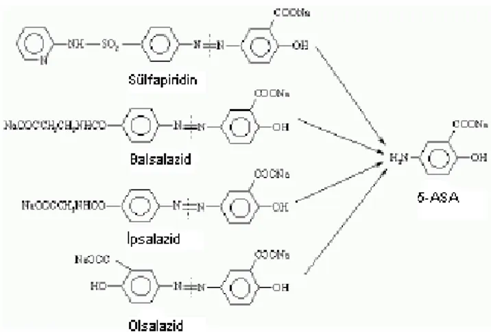 Şekil 4. Sülfapiridin’in, balsalazid’in, ipsalazid’in ve olsalazid’in kimyasal yapıları (1)