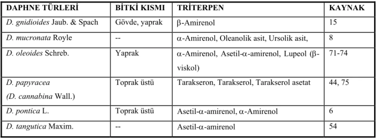 Tablo 4. Daphne türlerindeki triterpen bileşikleri 