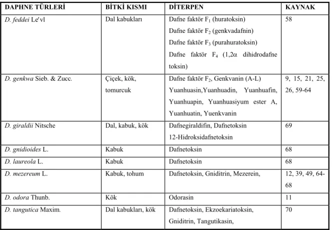 Tablo 3. Daphne türlerindeki diterpen bileşikler 