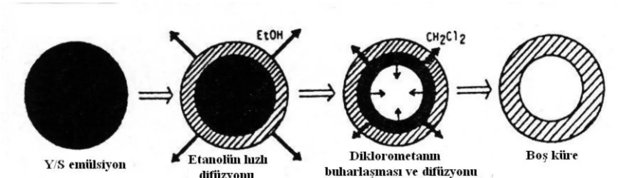 Şekil 6: Emülsiyon-çözücü difüzyon yöntemi ile mikrobalonların oluşum mekanizması (34)