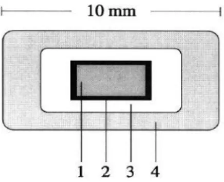 Şekil 8: Manyet içeren basınçla kaplanmış tabletin şematik gösterimi. 1, manyet; 2, karnauba mumundan  oluşan tabaka; 3, iç kaplama; 4, dış kaplama (47)