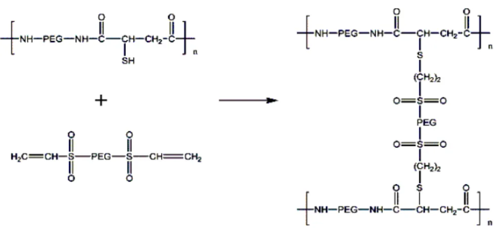 Şekil  4.  Ana iskeletinde PEG ve tiyol grupları içeren kopolimerden çapraz bağlama ajanı kullanılarak  kimyasal reaksiyon ile polimerik hidrojel hazırlanması