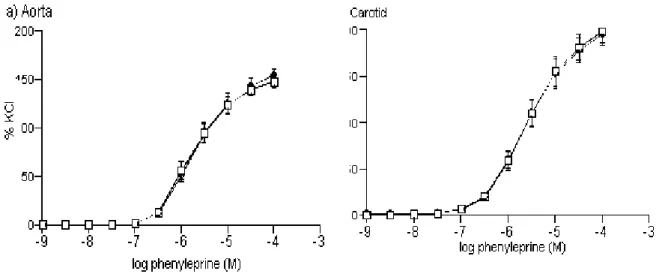 Figure 5: PH-induced contractions when normalized to KCl (60 mM) contractions in thoracic aorta  and carotid 