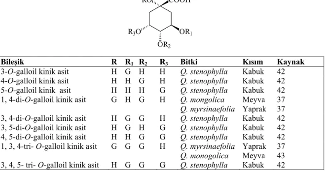 Tablo 16: Quercus türlerinden elde edilen hidrolize olabilen tanenler-IV  COOH
