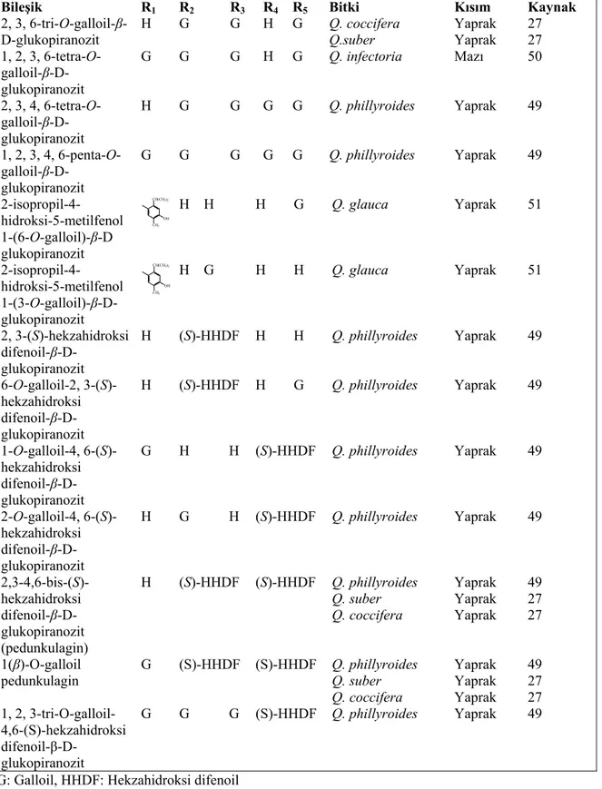 Tablo 20: Quercus türlerinden elde edilen hidrolize olabilen tanenler-VIII(Devam) 