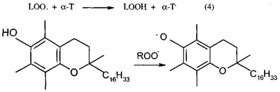 Figure 2. Peroxyl trapping by a-tocopherol 