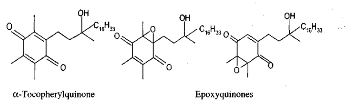Figure 3. Oxidation products of a-Tocopherol by peroxyl radicals 
