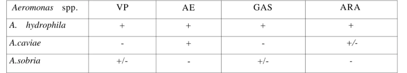 Table 1 shows the biochemical patterns and species identification of the Aeromonas  isolates