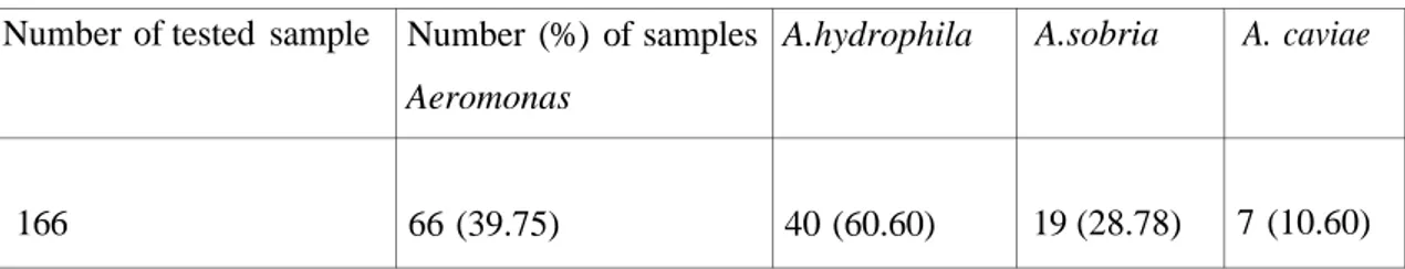 Table 2. Incidence of A. hydrophila, A. sobria, A. caviae from untreated drinking well water  Number of tested sample 