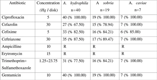 Table 3. Antibiotic susceptibility of motile Aeromonas spp. isolates from untreated well water  Antibiotic  Ciprofloxacin  Cefazolin  Cefixime  Ceftriaxone  Ampicilline  Erytromycin  Trimethoprim+  Sulfamethoxazole  Gentamicin  Concentration (Hg 1 disk) 5 