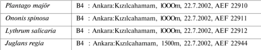 Table 1. The names and origins of the plants used in this study 