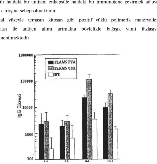 Grafik 1 :İntranazal bağışıklamadan sonra Anti-DT spesifik IgG  Titreleri (Toksoid 1. ve 49