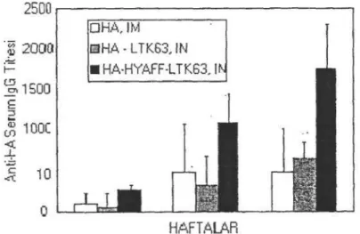 Grafik 2: İM olarak HA, İN olarak HA ve LTK63 ve İN olarak HA, LTK63 ve HYAFF ile bağışklanan  deney hayvanlarının nazal salgılarındaki Anti-HA Ig A titreleri (1)