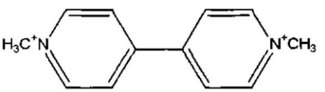 Figure 1. Chemical structure of the herbicide, paraquat (5). 