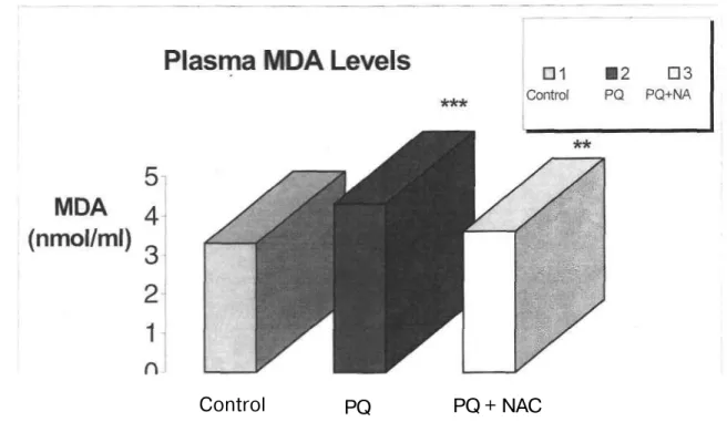 Figure 2. Effects of PQ, NAC and PQ+NAC on plasma MDA levels. 