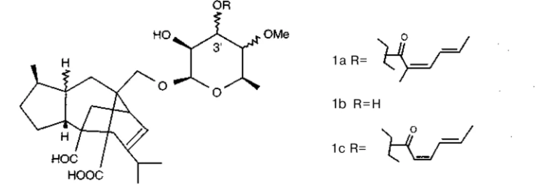 Şekil 7 : Sordarin ve türevleri 