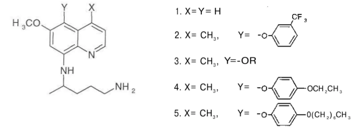 Şekil 11 : 8-aminokinoiin türevleri  1. X= Y= H 2. X= CH3, 3. X= CH3, 4. X= CH3, 5. X= CH3,  Y=  Y=-OR Y= Y=  OCH  2 CH  3 0(CH 2) 6 CH  3 