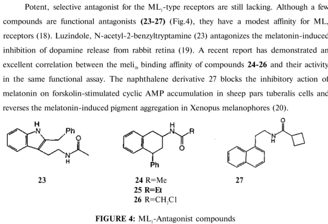 FIGURE 4: ML 1 -Antagonist compounds 